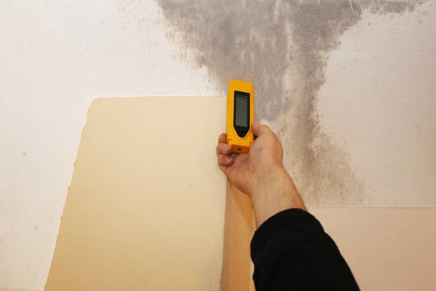 Best Real Estate Mold Inspection  in Sparks, GA