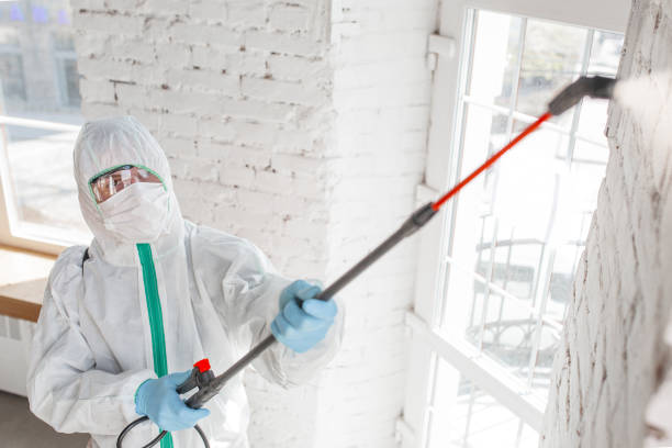 Best Mold Remediation for Healthcare Facilities  in Sparks, GA