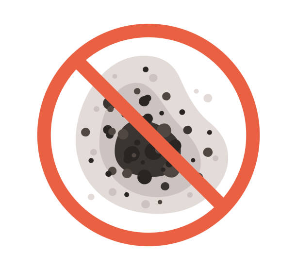 Best Mold Odor Removal Services  in Sparks, GA