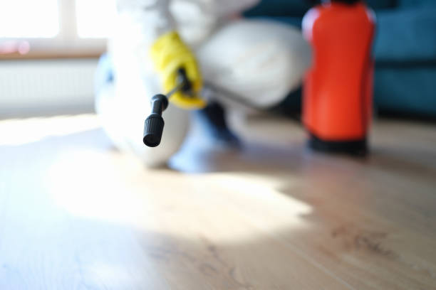 Best Emergency Mold Remediation  in Sparks, GA