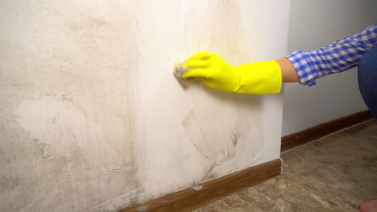 Best Mold-Related Health Consultation  in Sparks, GA
