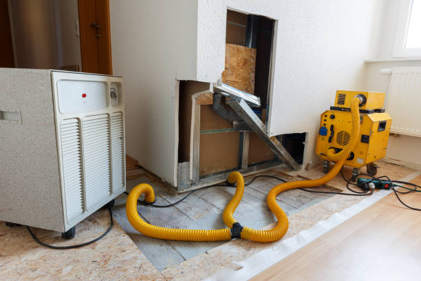 Reliable Sparks, GA Mold Removal Solutions